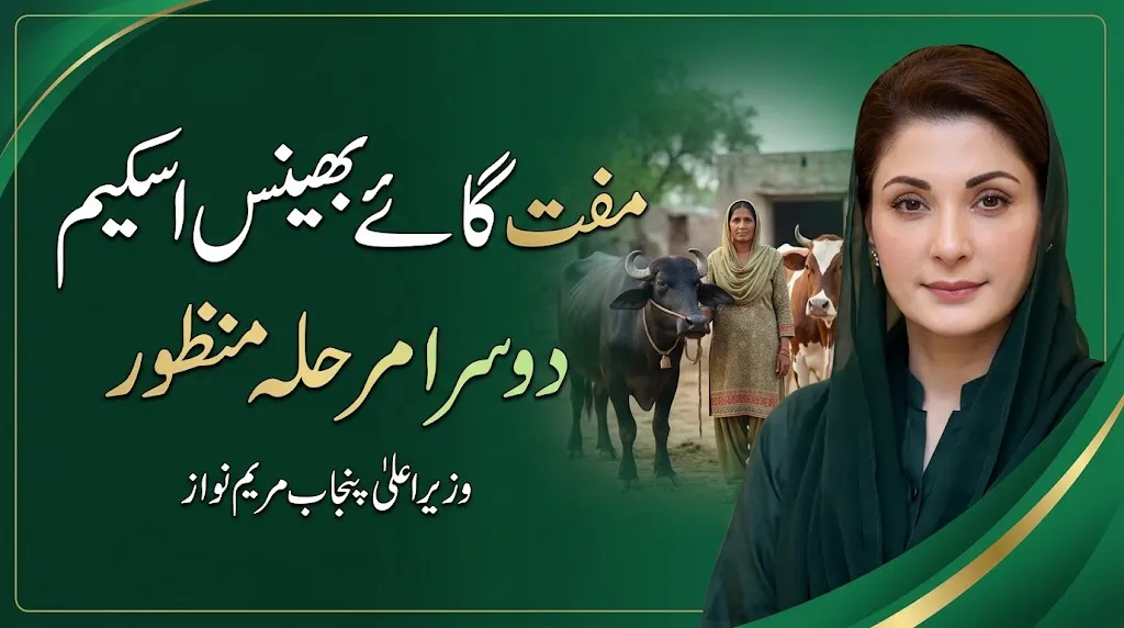 Maryam Nawaz Approves Second Phase of Free Livestock Scheme for Rural Women